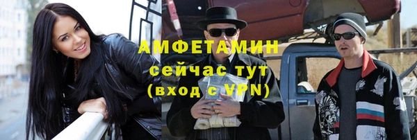 индика Богданович