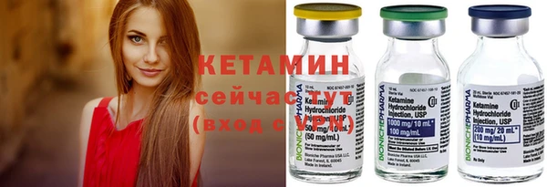 индика Богданович