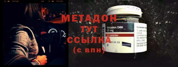 индика Богданович