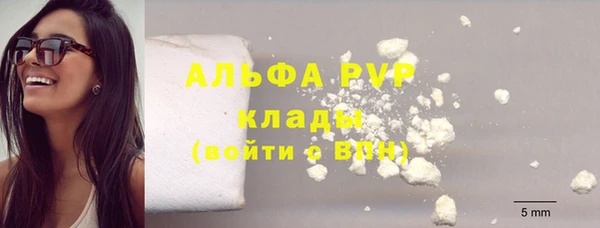 прущие грибы Бородино