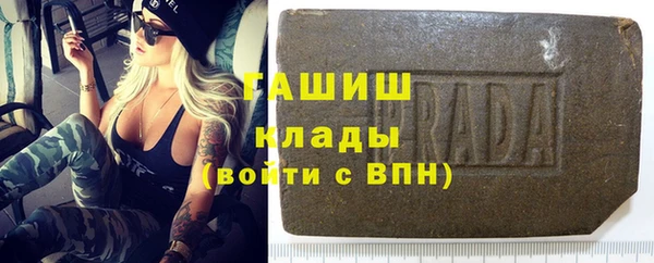 индика Богданович