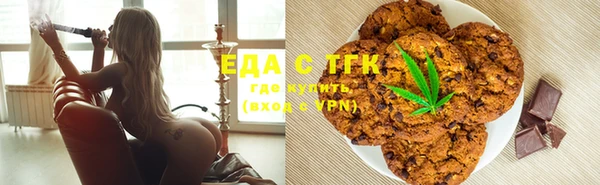 индика Богданович